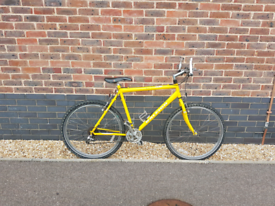 fuji nevada 1.6 29er